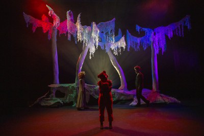 El bosque de Coco.