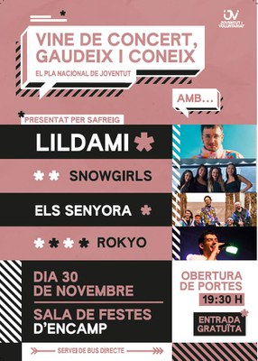 Cartell dels concerts emmarcats en el Pla Nacional de Joventut..