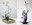 Taller: "Iniciació a l'art floral japonès"