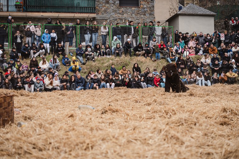 10 - BALL DE L_OSSA  - CARNAVAL ENCAMP 2025  - 120.jpg
