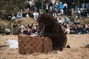 10 - BALL DE L_OSSA  - CARNAVAL ENCAMP 2025  - 123.jpg