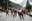 10 - BALL DE L_OSSA  - CARNAVAL ENCAMP 2025  - 2.jpg