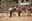 10 - BALL DE L_OSSA  - CARNAVAL ENCAMP 2025  - 70.jpg