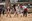 10 - BALL DE L_OSSA  - CARNAVAL ENCAMP 2025  - 76.jpg