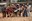 10 - BALL DE L_OSSA  - CARNAVAL ENCAMP 2025  - 78.jpg