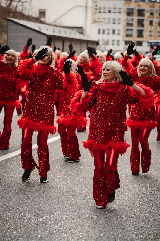 2 - DESFILADA CARROSSES I COMPARSES - CARNAVAL ENCAMP 2025  - 18.jpg