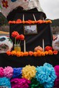 2 - DESFILADA CARROSSES I COMPARSES - CARNAVAL ENCAMP 2025  - 60.jpg
