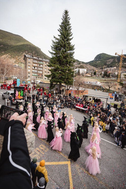 2 - DESFILADA CARROSSES I COMPARSES - CARNAVAL ENCAMP 2025  - 84.jpg