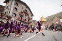 2 - DESFILADA CARROSSES I COMPARSES - CARNAVAL ENCAMP 2025  - 94.jpg