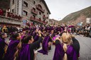 2 - DESFILADA CARROSSES I COMPARSES - CARNAVAL ENCAMP 2025  - 95.jpg