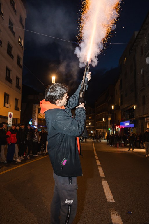 12 - DESPENJADA CARNESTOLTES  - CARNAVAL ENCAMP 2025  - 1.jpg