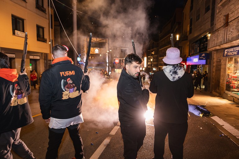 12 - DESPENJADA CARNESTOLTES  - CARNAVAL ENCAMP 2025  - 13.jpg