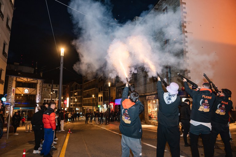 12 - DESPENJADA CARNESTOLTES  - CARNAVAL ENCAMP 2025  - 6.jpg