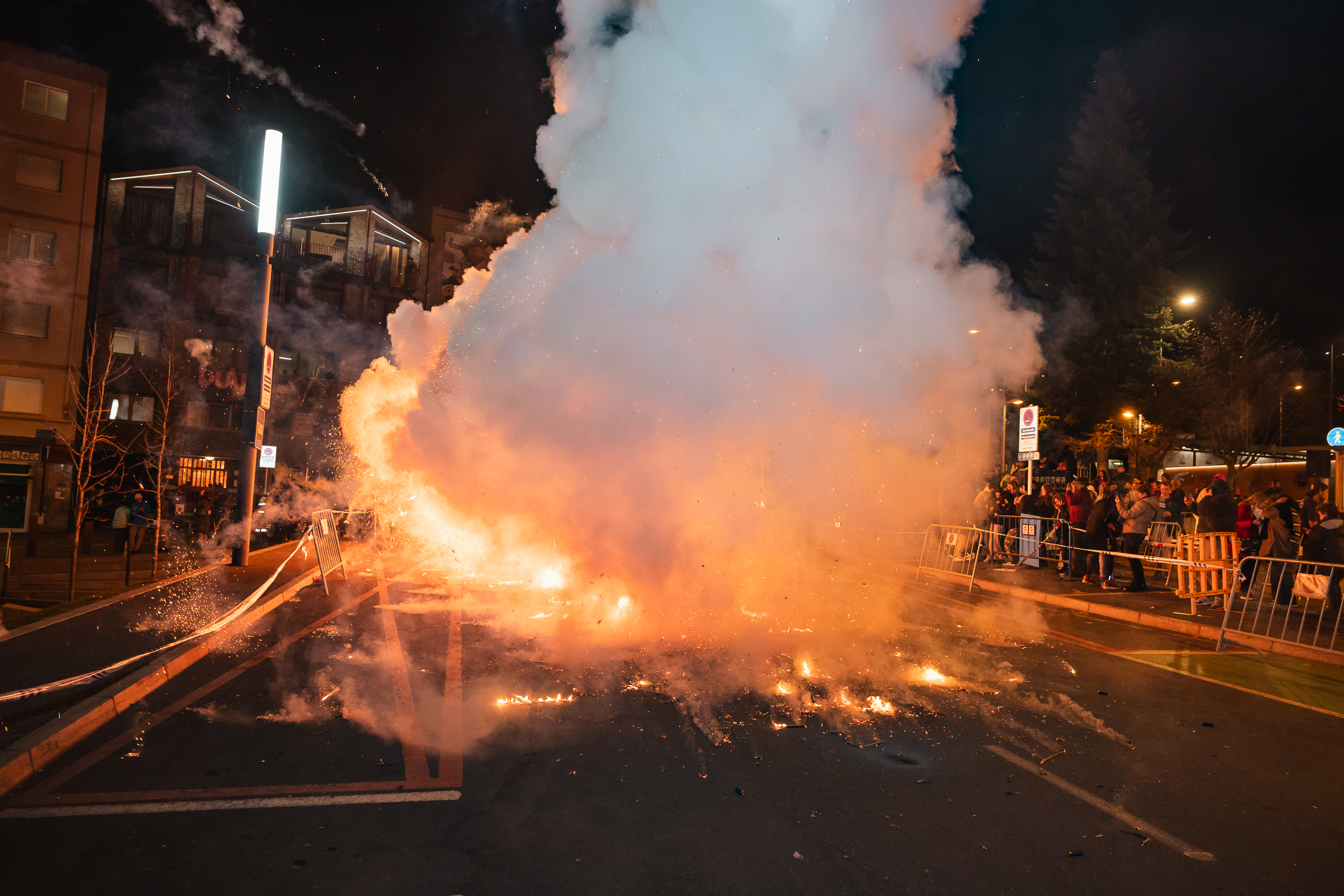 14 - ENTERRAMENT CARNESTOLTES + SARDINADA  - CARNAVAL ENCAMP 2025  - 34.jpg