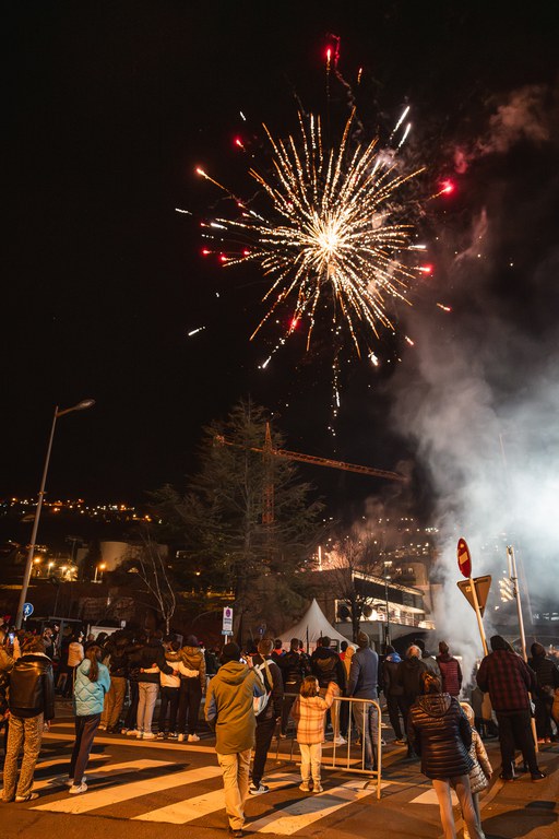 14 - ENTERRAMENT CARNESTOLTES + SARDINADA  - CARNAVAL ENCAMP 2025  - 44.jpg