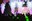 4 - GRUP DE VERSIONS _ELS SEÑORA_ + DJ SHIN - CARNAVAL ENCAMP 2025  - 27.jpg