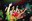 8 - GRUP DE VERSIONS _THE TUTSIES_ + ENTREGA DE PREMIS + BANDIDOS PERVERSIONS - CARNAVAL ENCAMP 2025  - 26.jpg