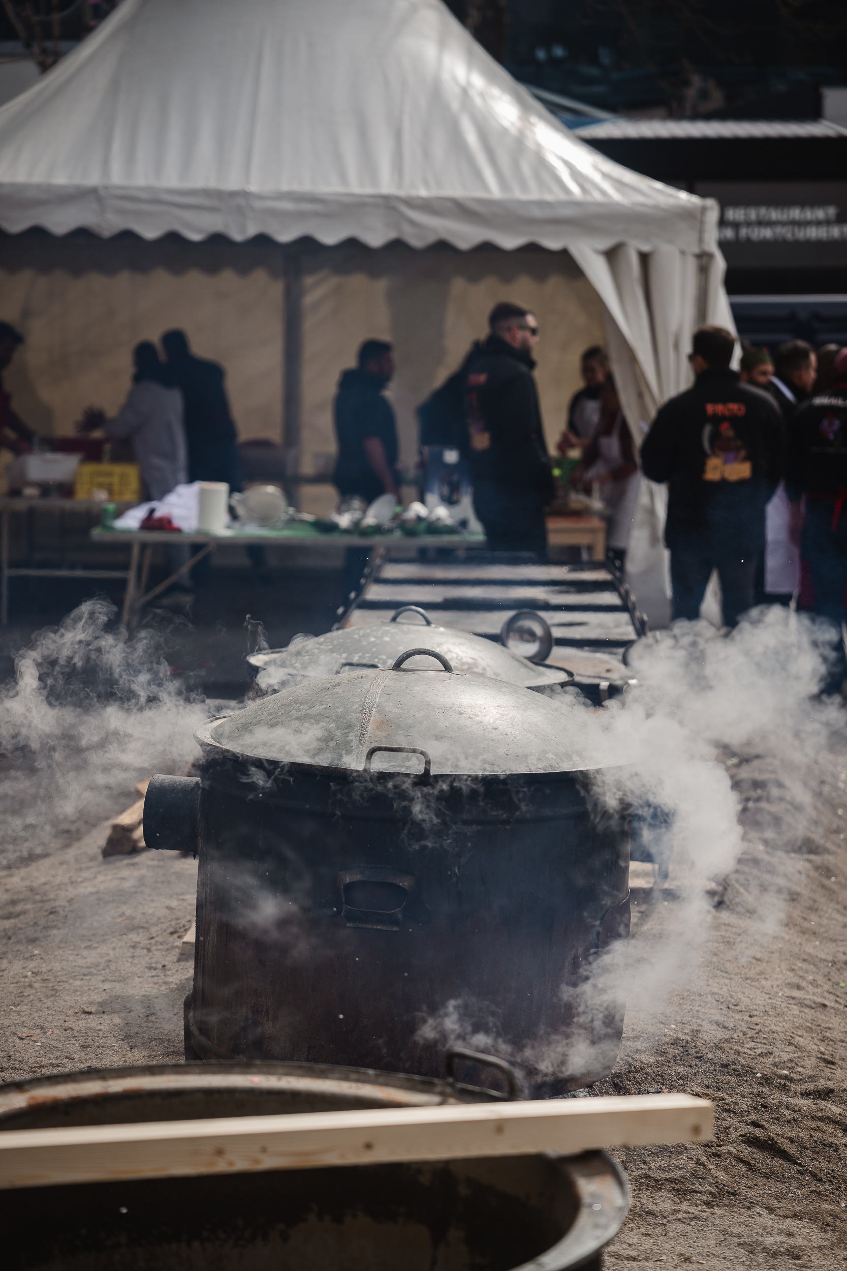 5 - MATANÇA DEL PORC - CARNAVAL ENCAMP 2025  - 31.jpg