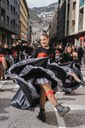 4 - DESFILADA CARROSSES I COMPARSES_15-02-26 - 16.jpg