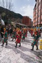 4 - DESFILADA CARROSSES I COMPARSES_15-02-26 - 39.jpg