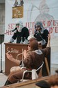 6 - JUDICI DELS CONTRABANDISTES_15-02-26 - 67.jpg