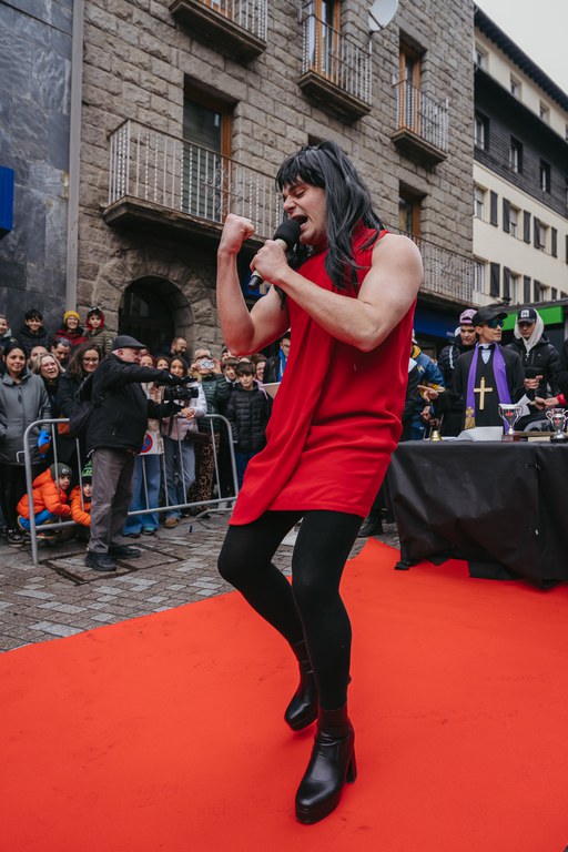 1 - Penjada Carnestoltes_14-02-26 - 53.jpg