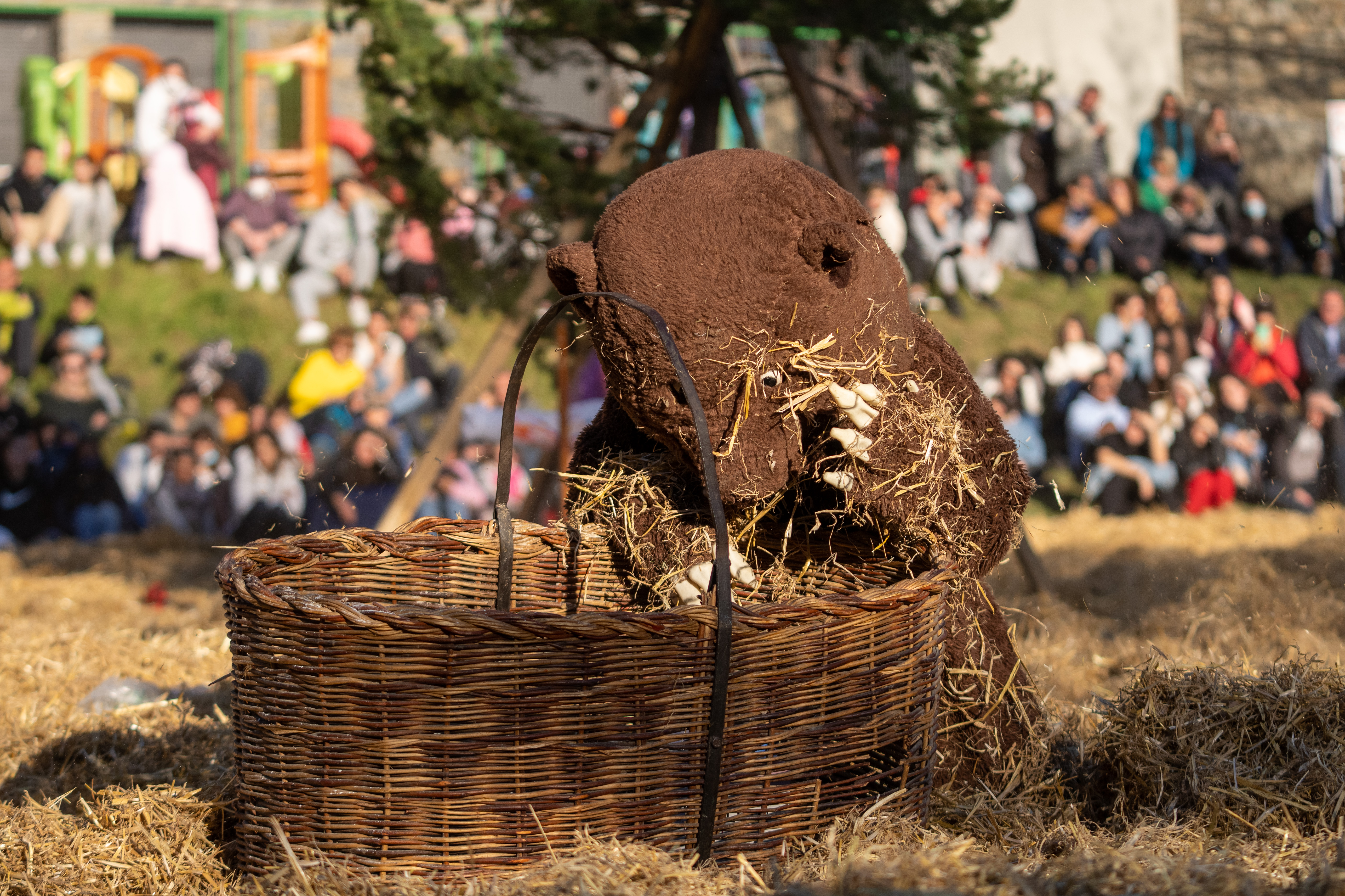 Ball de l'ossa