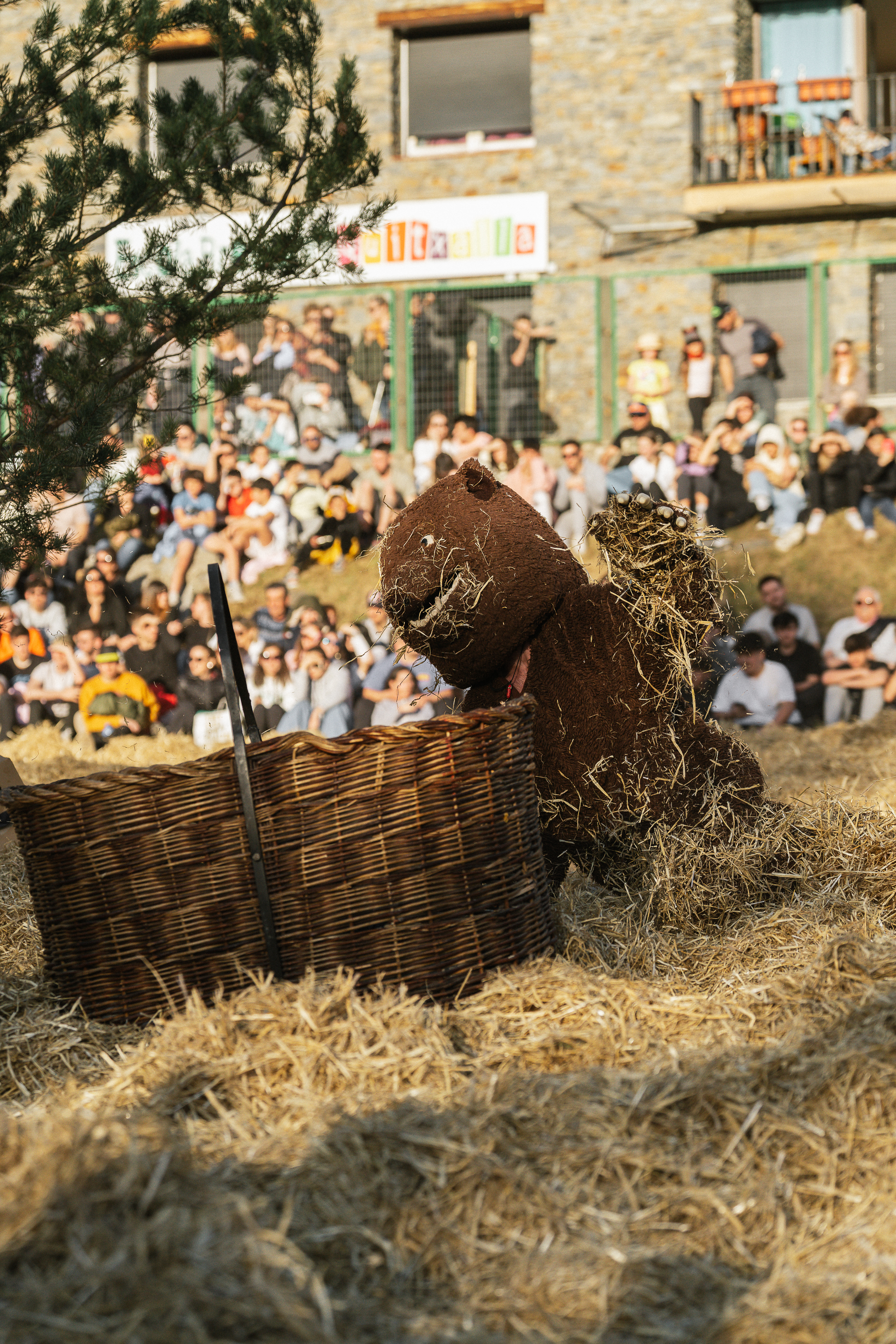 Ball de l'ossa
