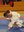 140 participants en el primer Torneig de judo d’Encamp i el Pas de la Casa
