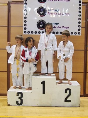 judo1.jpg.