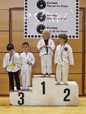 judo2.jpg.
