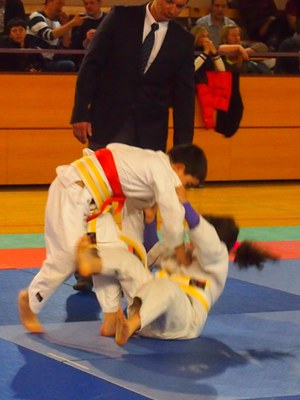 judo4.jpg.