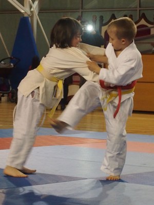 judo5.jpg.
