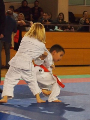 judo6.jpg.