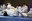 Judo Encamp-004.jpg
