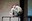 DSC08404.jpeg
