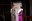 DSC08493.jpeg