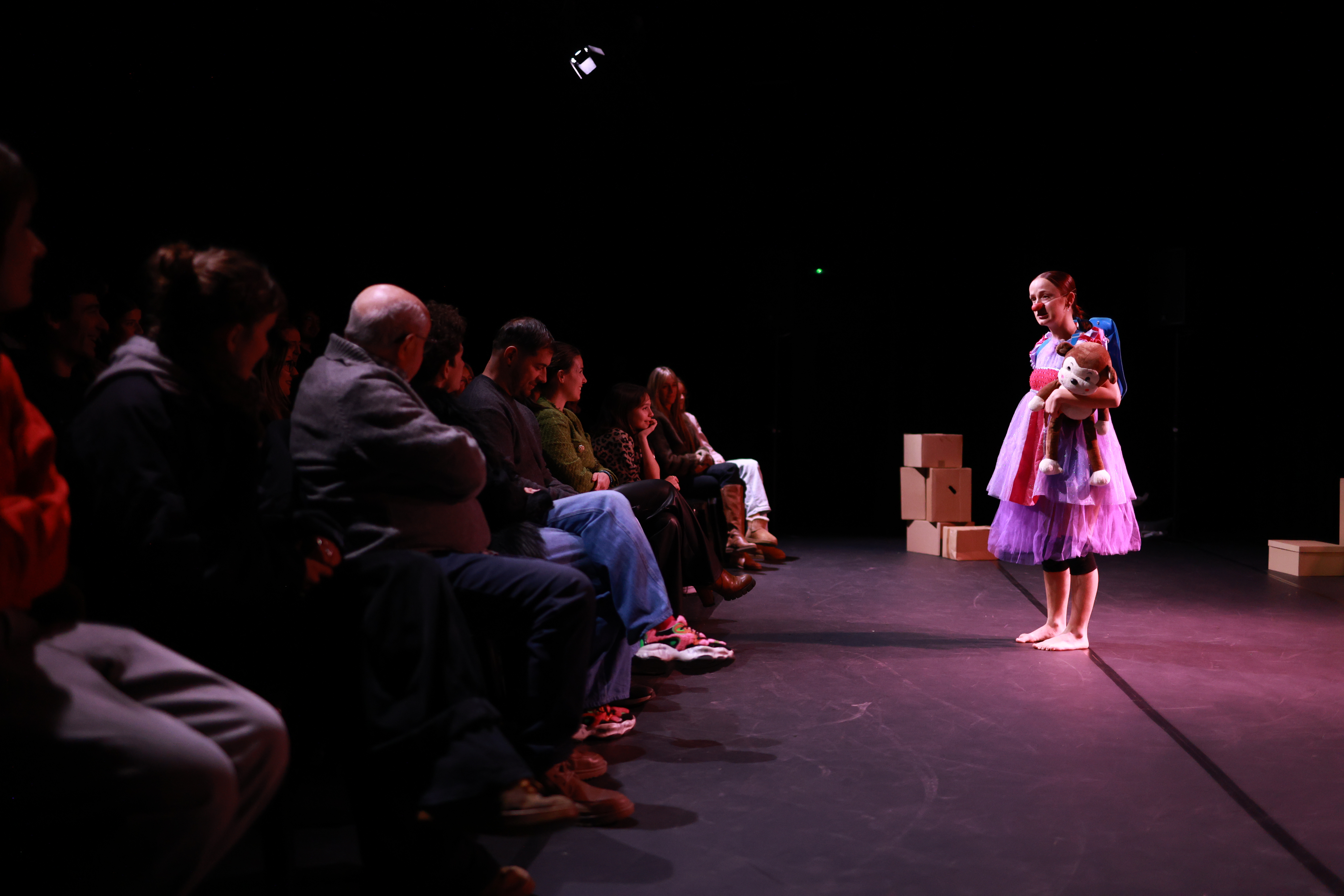 20260130 22 caixes cicle cultural @FacuSantanaperComuEncamp (11).JPG
