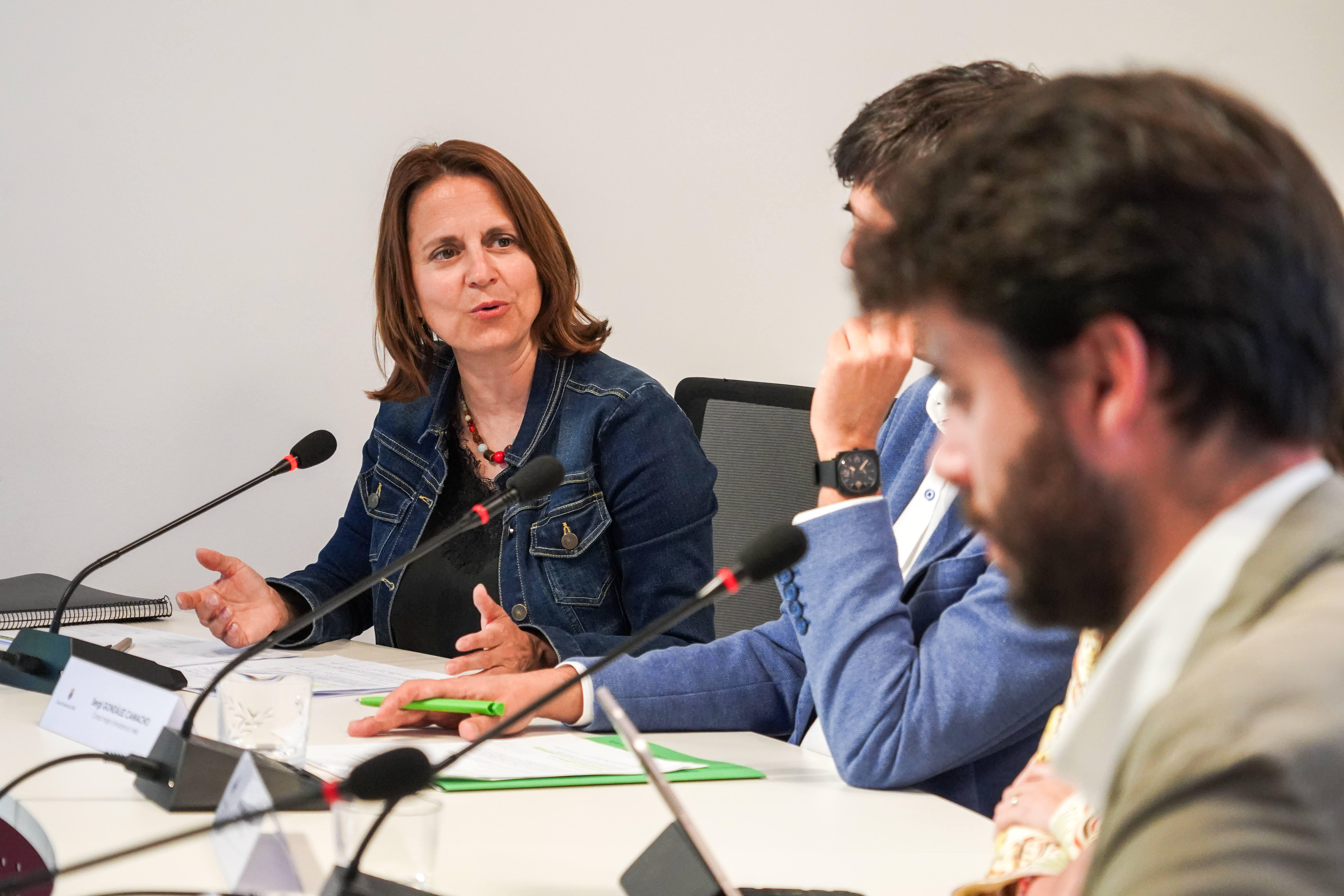 20240618 Rdp 20 anys Vall del Madriu @ComuEncamp (32).jpg