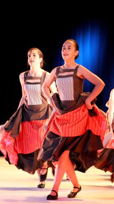 Mimetismes 2017-006.JPG.