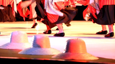 Mimetismes 2017-007.JPG.