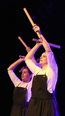 Mimetismes 2017-054.JPG.