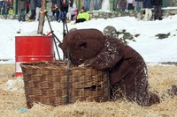 Afectacions al trànsit per la celebració del Carnaval