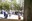 DSC08989.jpeg