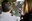 DSC09019.jpeg