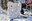 Imatge5