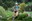 20260522 KmVertical_AM_@TravessaEncamp (1).jpeg