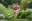 20260522 KmVertical_AM_@TravessaEncamp (2).jpeg