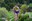 20260522 KmVertical_AM_@TravessaEncamp (3).jpeg