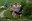 20260522 KmVertical_AM_@TravessaEncamp (6).jpeg